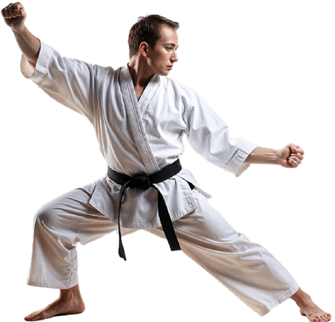 Martial Artist Left